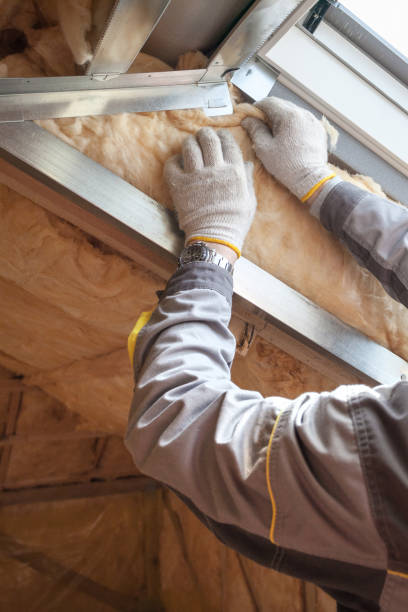 Best Insulation Installation Services in Harrison, MI