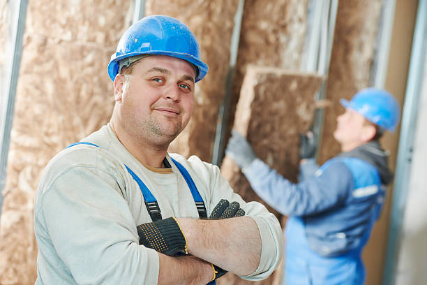 Best Insulation Maintenance and Repair in Harrison, MI